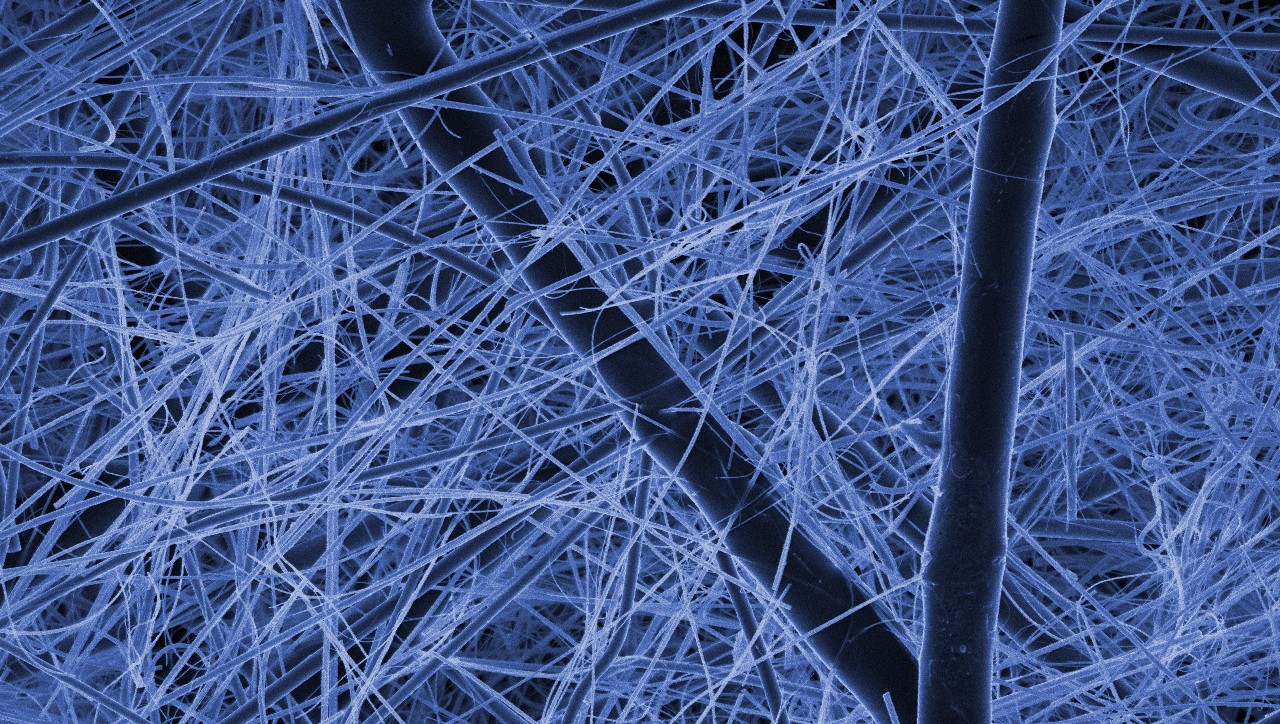 Dank Fortschritten in der Filtrationstechnologie werden die Anforderungen der Motoren von heute, die in einer Vielzahl von Umgebungen zum Einsatz kommen, erfüllt. Das in den Donaldson Blue®-Kraftstofffiltern verwendete Synteq XP™-Medium nutzt eine Kombination aus feinen Fasern und einem harzfreien Bindungssystem, um für optimale Schadstoffreinigung und Schmutzaufnahme zu sorgen.