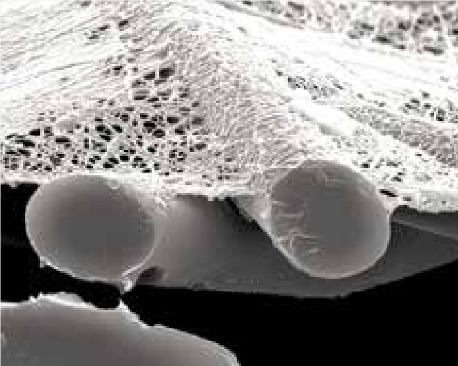 Abbildung 1 zeigt das Nanofasermedium eines Filters, mit dem das Substrat beschichtet ist. Dies verhindert, dass Partikel in die Tiefen des Filters gelangen, und macht die Impulsreinigung zu einer effektiven Methode, um die Filterlebensdauer zu verlängern.