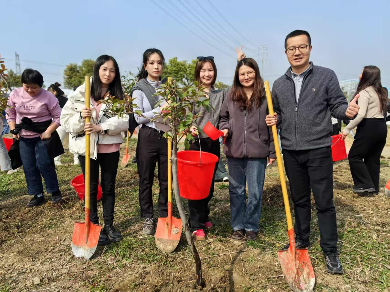 Tree Planting Wuxi