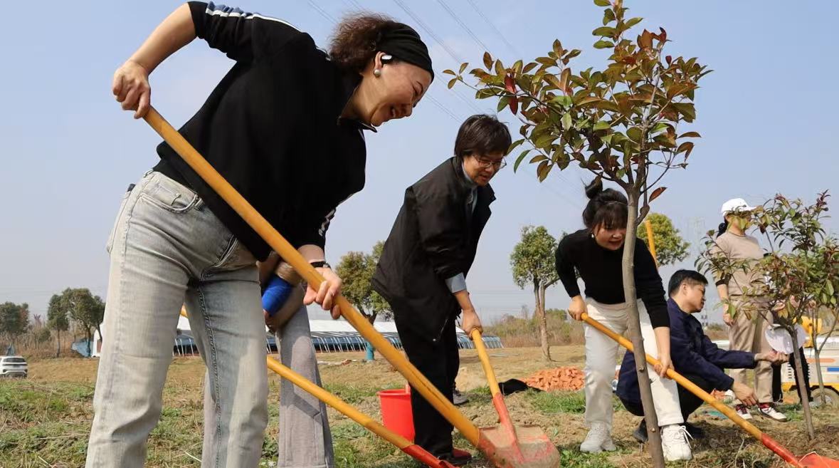 Employees planting a tree.