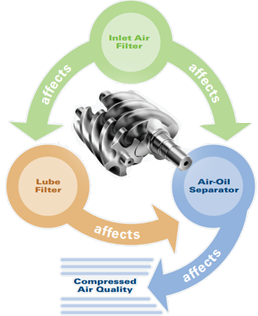 Figure 2 : l’écosystème de filtration dépend des trois composants pour assurer une performance optimale.