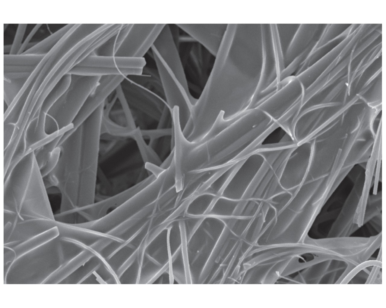  Figura 3 - L'immagine SEM del setto filtrante in poliestere/vetro ingrandita 500 volte mostra una "trama" di resina tra le fibre. 