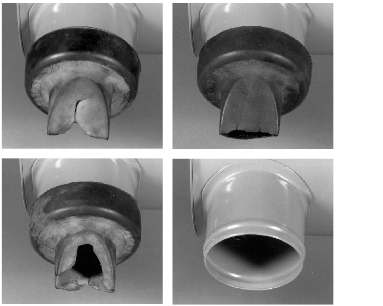 Crinata? Aperta? Lacerata? Mancante? Sostituiscila!