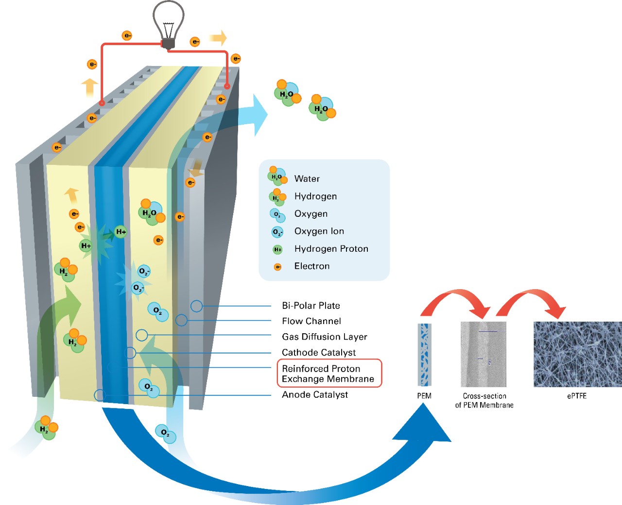 図4：MEA用ePTFE基材